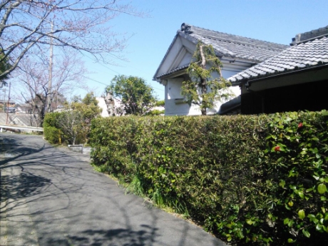 画像33